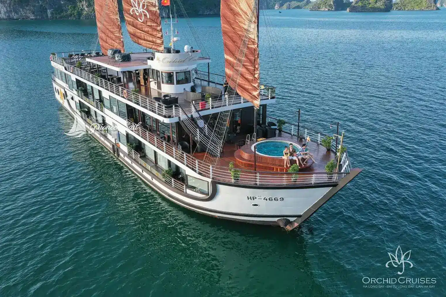 Orchid Class: Elegant Indochine Beauty