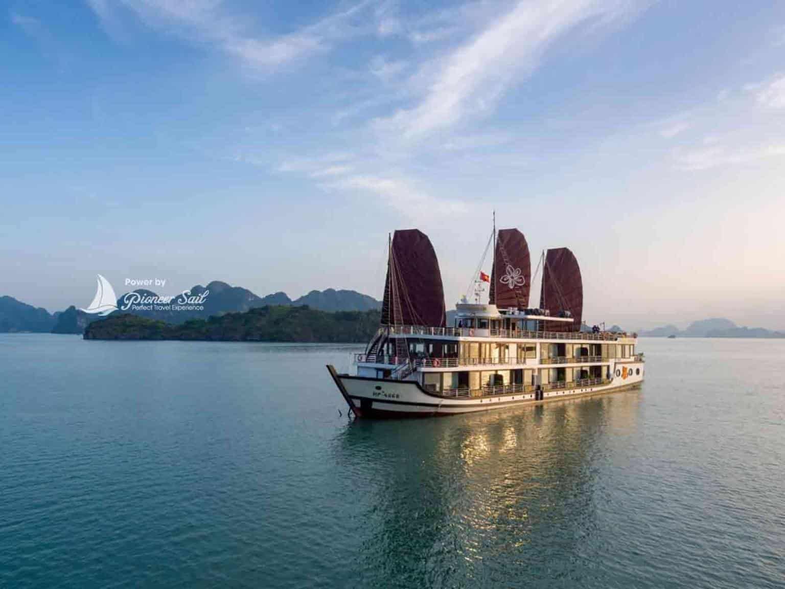 Orchid Trendy: The New Resort Trend