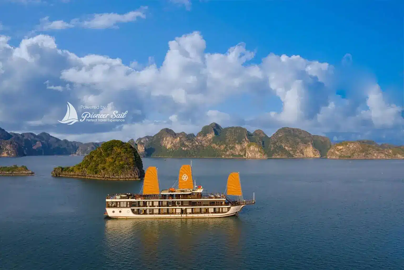 Peony Cruise: The Elegant Peony