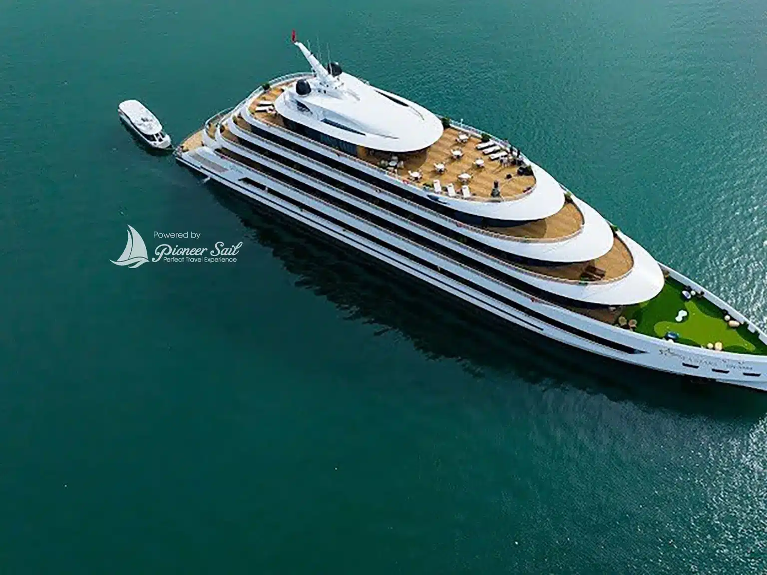 Seastar Cruise: The Sparkling Starfish