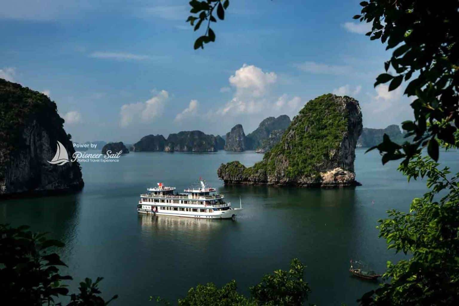 Swan Cruise: The Swan on the Bay